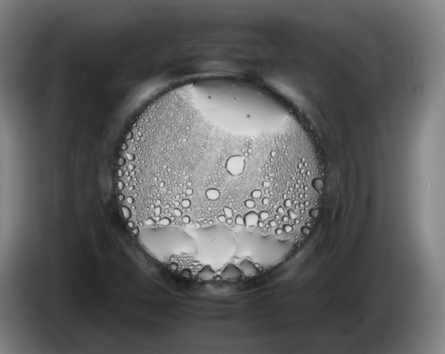 X0000086341407200704202052
