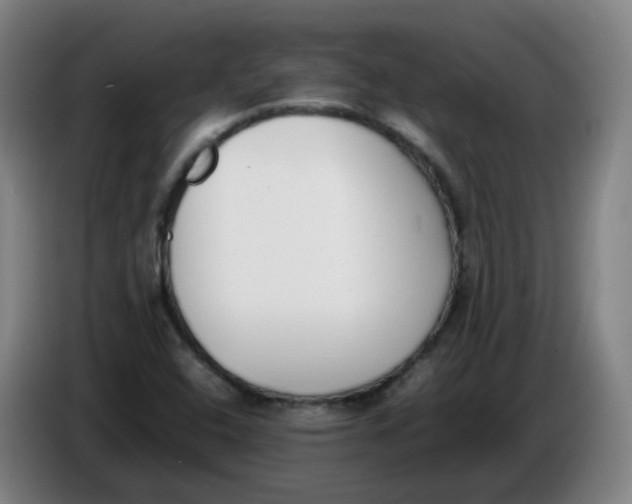 X0000086341408200704202052