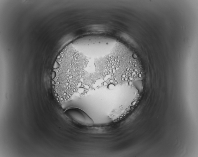 X0000086341409200704202052