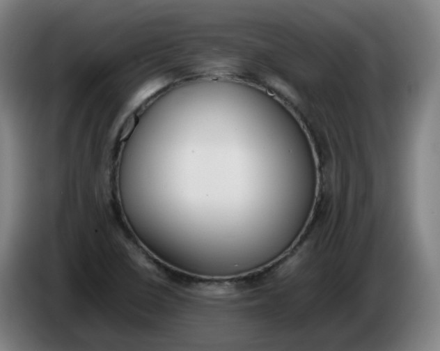 X0000086341410200704202052
