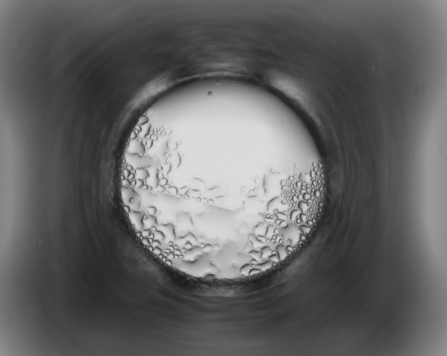 X0000086341411200704202052