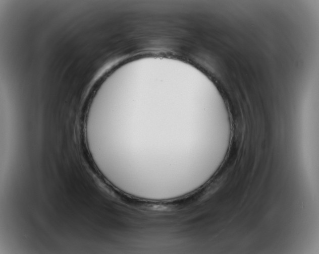 X0000086341412200704202052