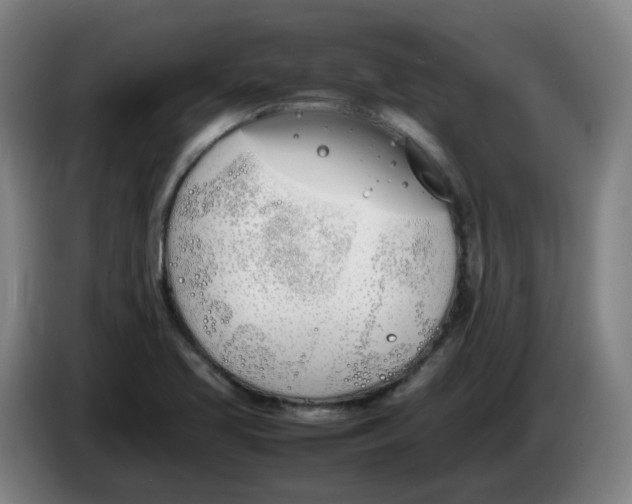 X0000086341413200704202052