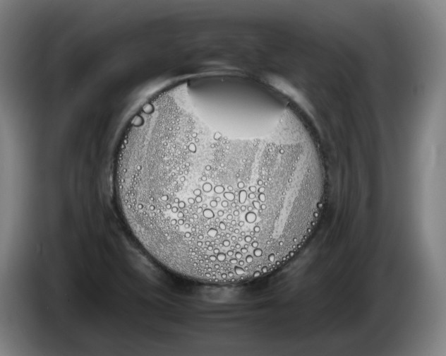 X0000086341415200704202052
