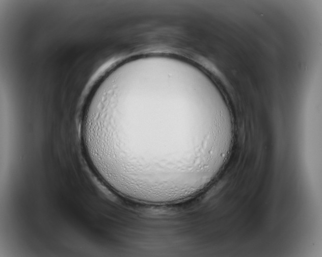 X0000086341416200704202052
