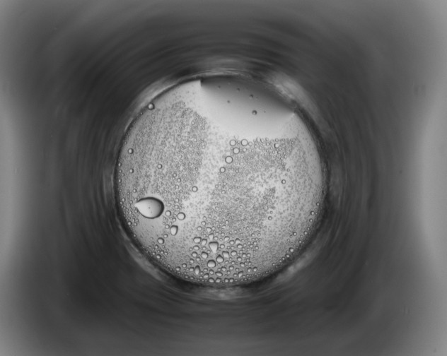 X0000086341417200704202052