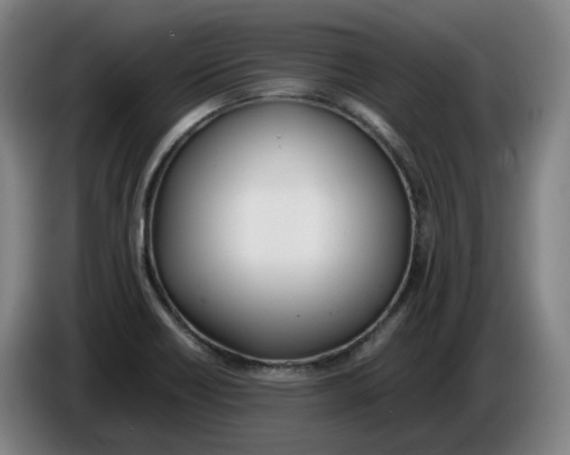 X0000086341418200704202052