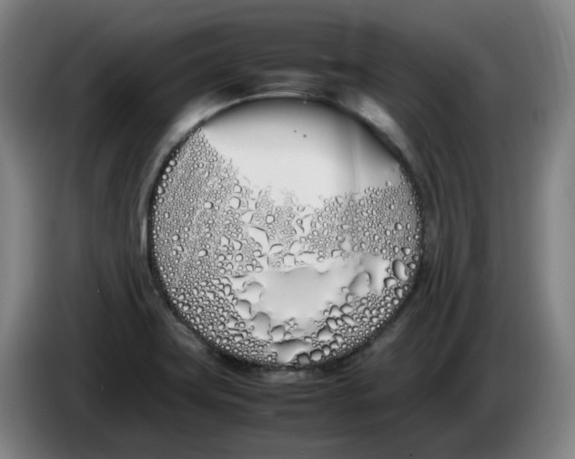 X0000086341419200704202052