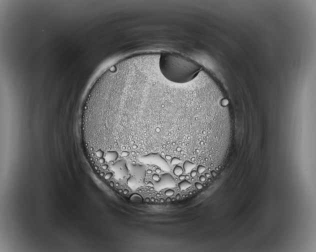 X0000086341421200704202052