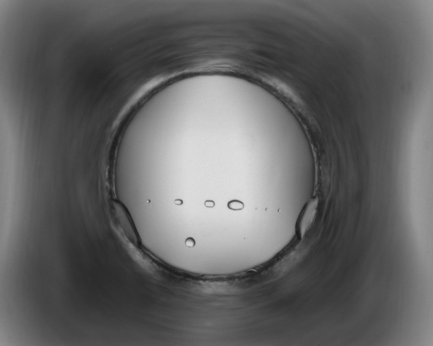 X0000086341422200704202052