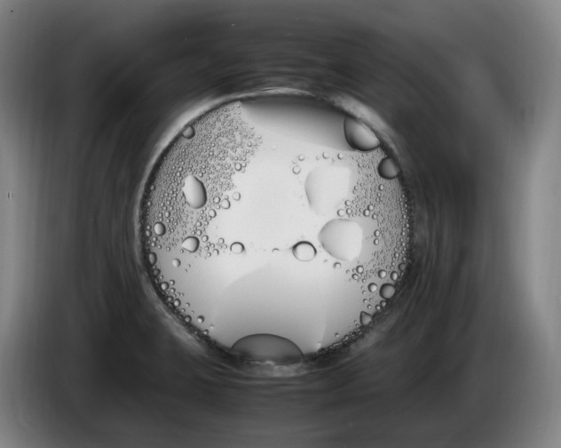 X0000086341423200704202052