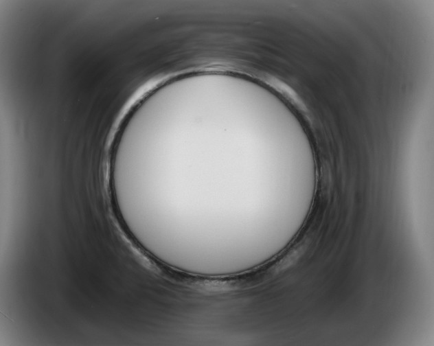 X0000086341424200704202052