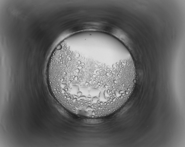 X0000086341427200704202052