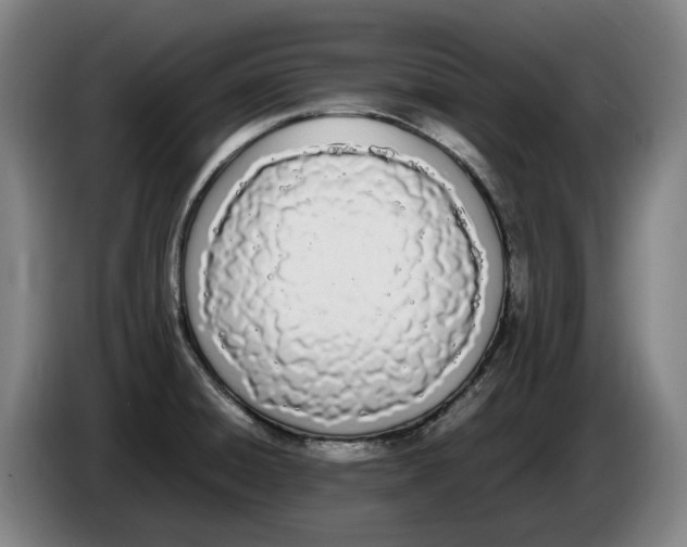 X0000086341428200704202052