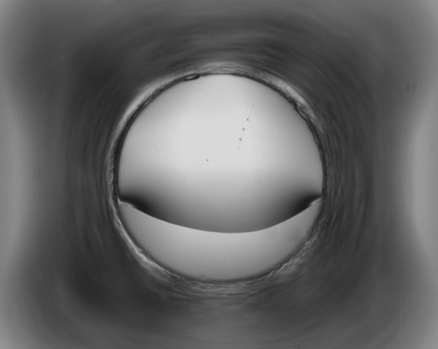 X0000086341430200704202052