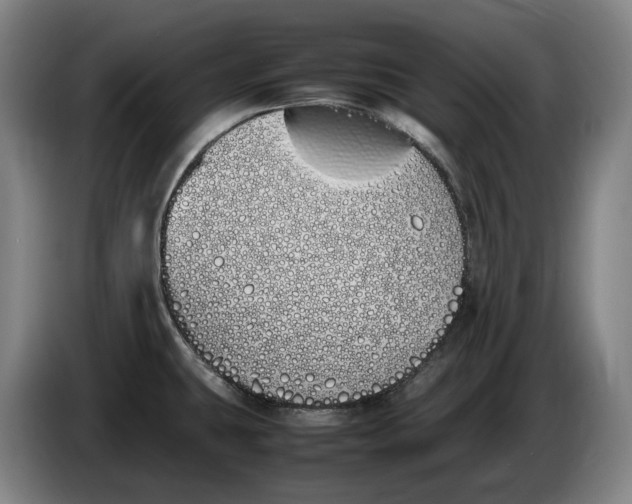 X0000086341431200704202052