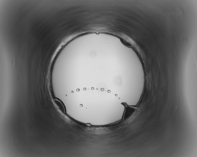 X0000086341432200704202052