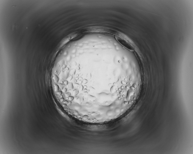X0000086341433200704202052