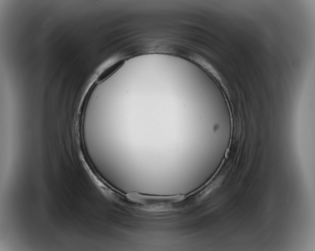 X0000086341434200704202052