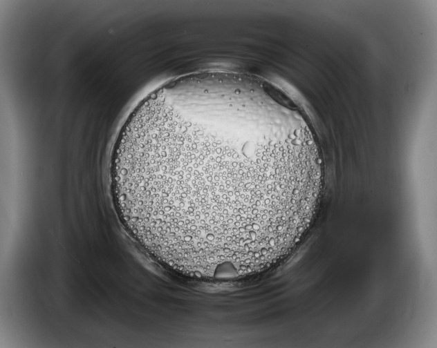 X0000086341435200704202052