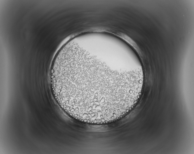 X0000086341436200704202052