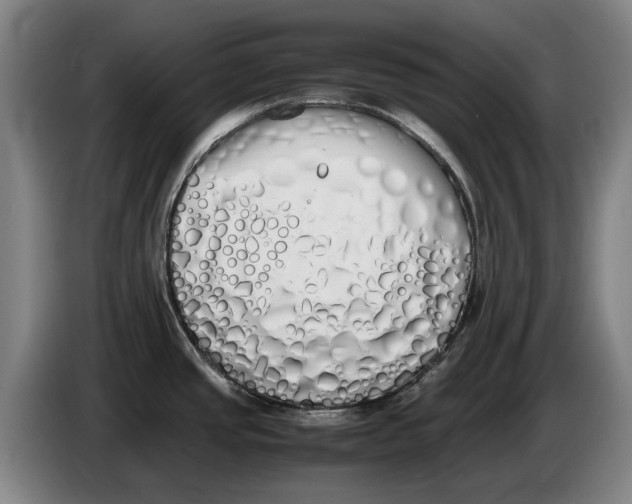X0000086341437200704202052