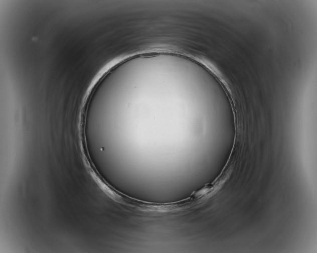 X0000086341438200704202052
