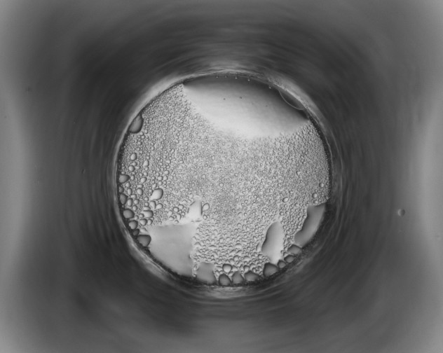 X0000086341439200704202052