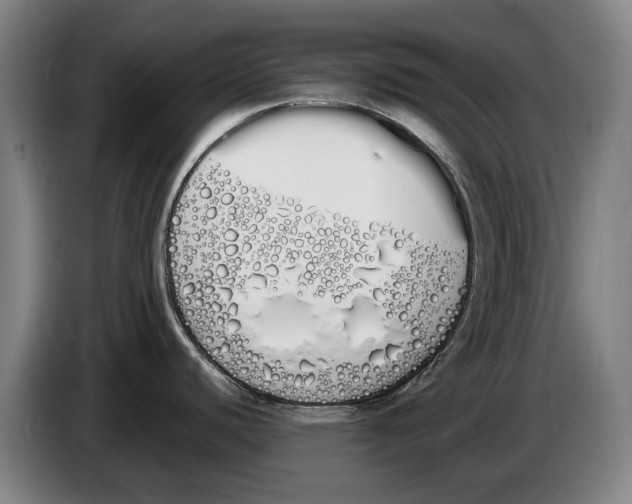 X0000086341440200704202052