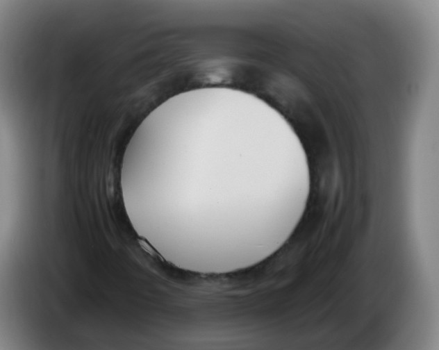 X0000086341442200704202052