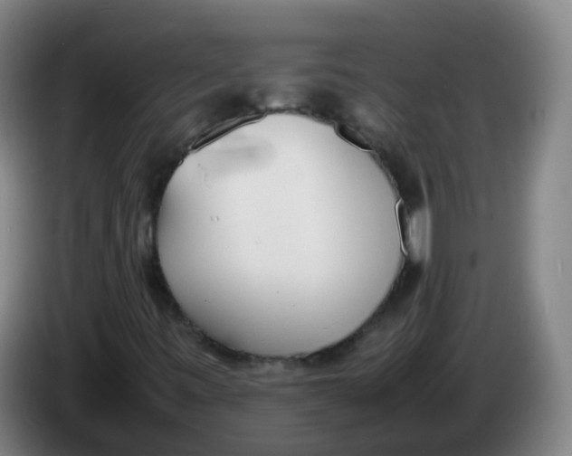 X0000086341443200704202052