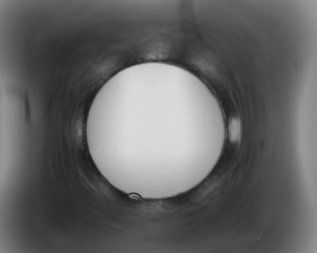 X0000086341444200704202052