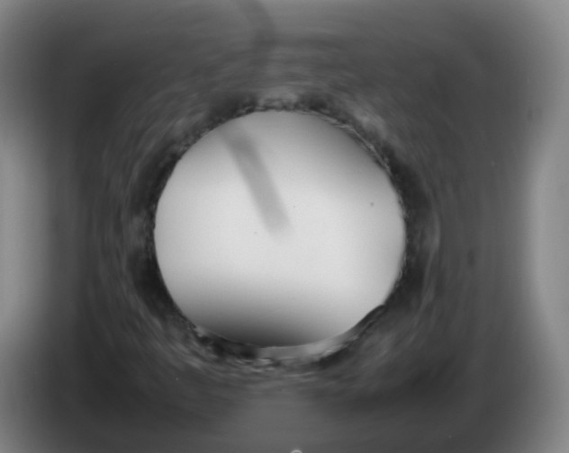 X0000086341445200704202052