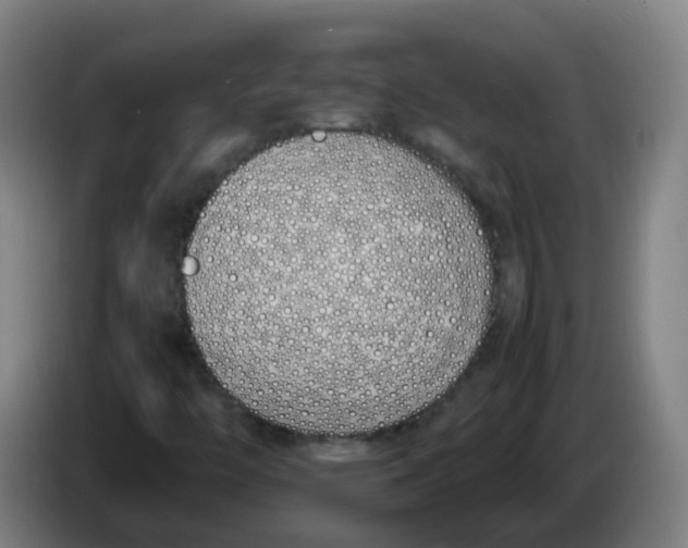 X0000086341446200704202052