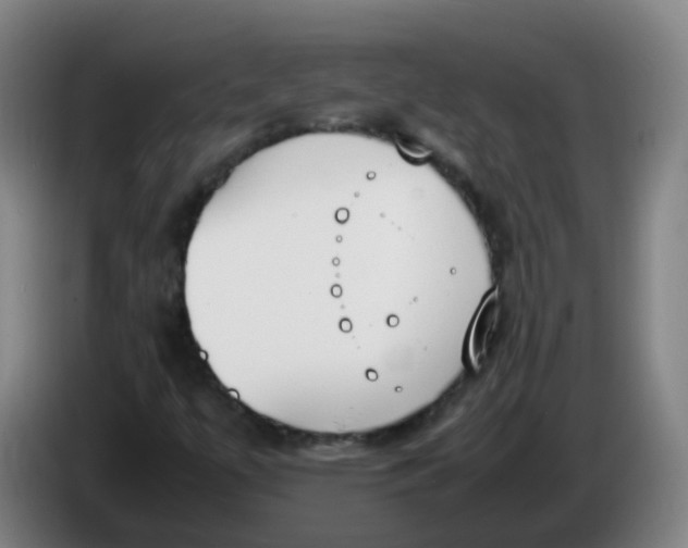 X0000086341447200704202052