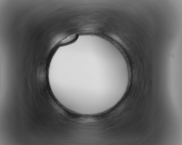 X0000086341450200704202052