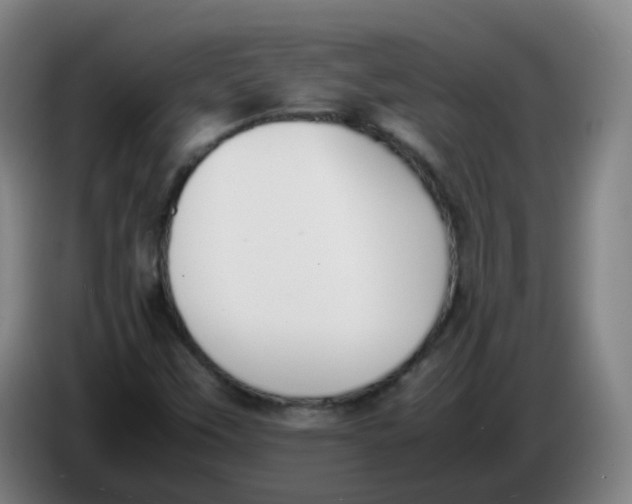 X0000086341451200704202052