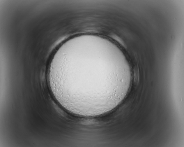 X0000086341452200704202052