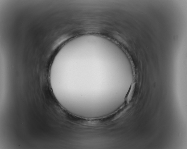 X0000086341453200704202052