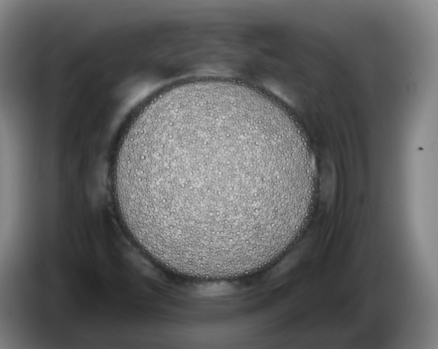 X0000086341454200704202052