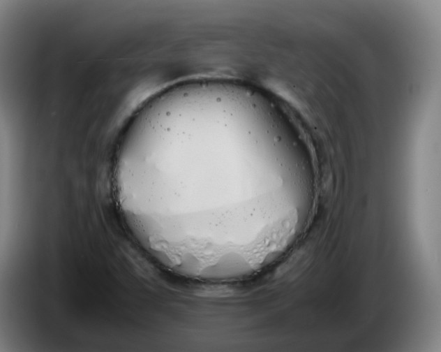 X0000086341455200704202052