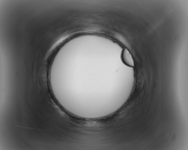X0000086341456200704202052