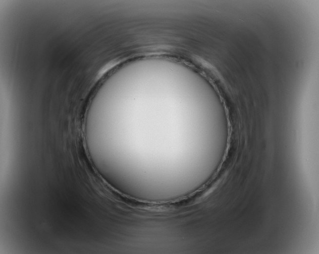 X0000086341457200704202052