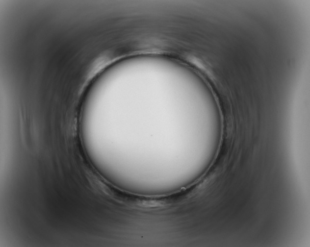 X0000086341459200704202052