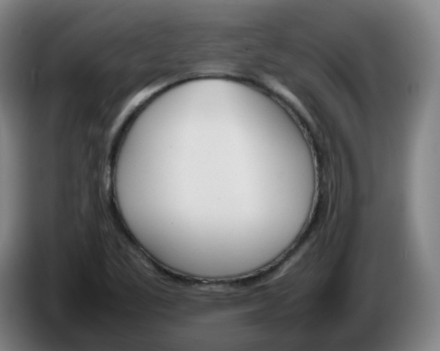 X0000086341461200704202052