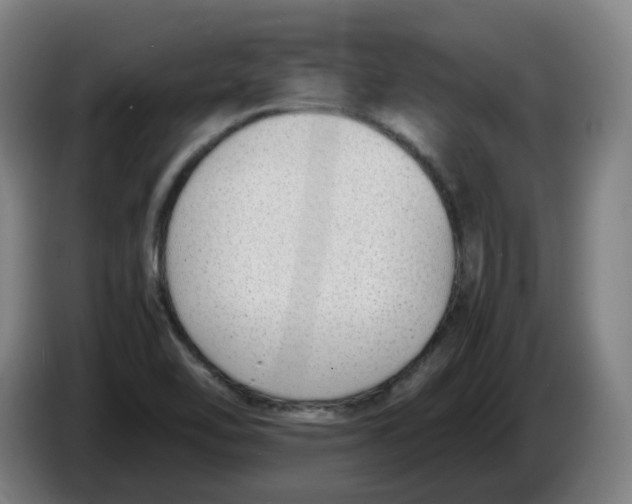 X0000086341462200704202051
