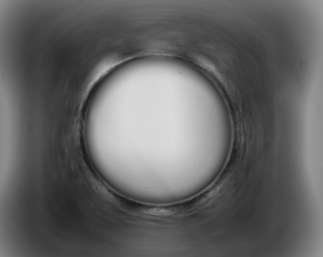 X0000086341463200704202051