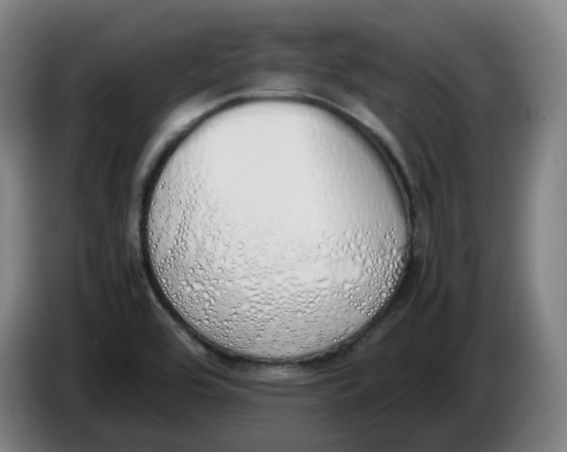 X0000086341464200704202051
