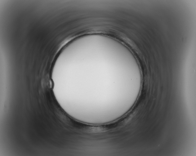 X0000086341465200704202051