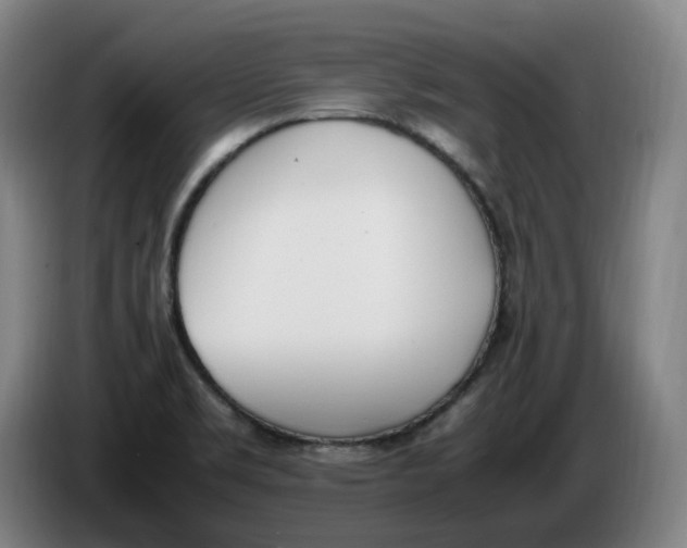 X0000086341469200704202051